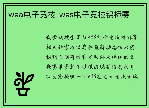 wea电子竞技_wes电子竞技锦标赛